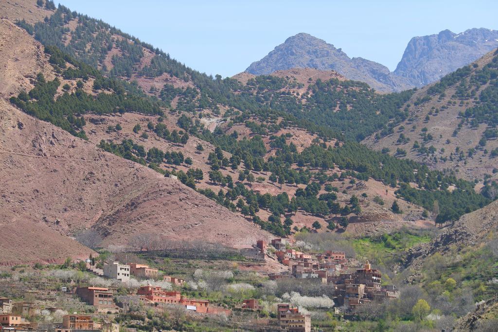 Tamatert Guest House Imlil  Dış mekan fotoğraf
