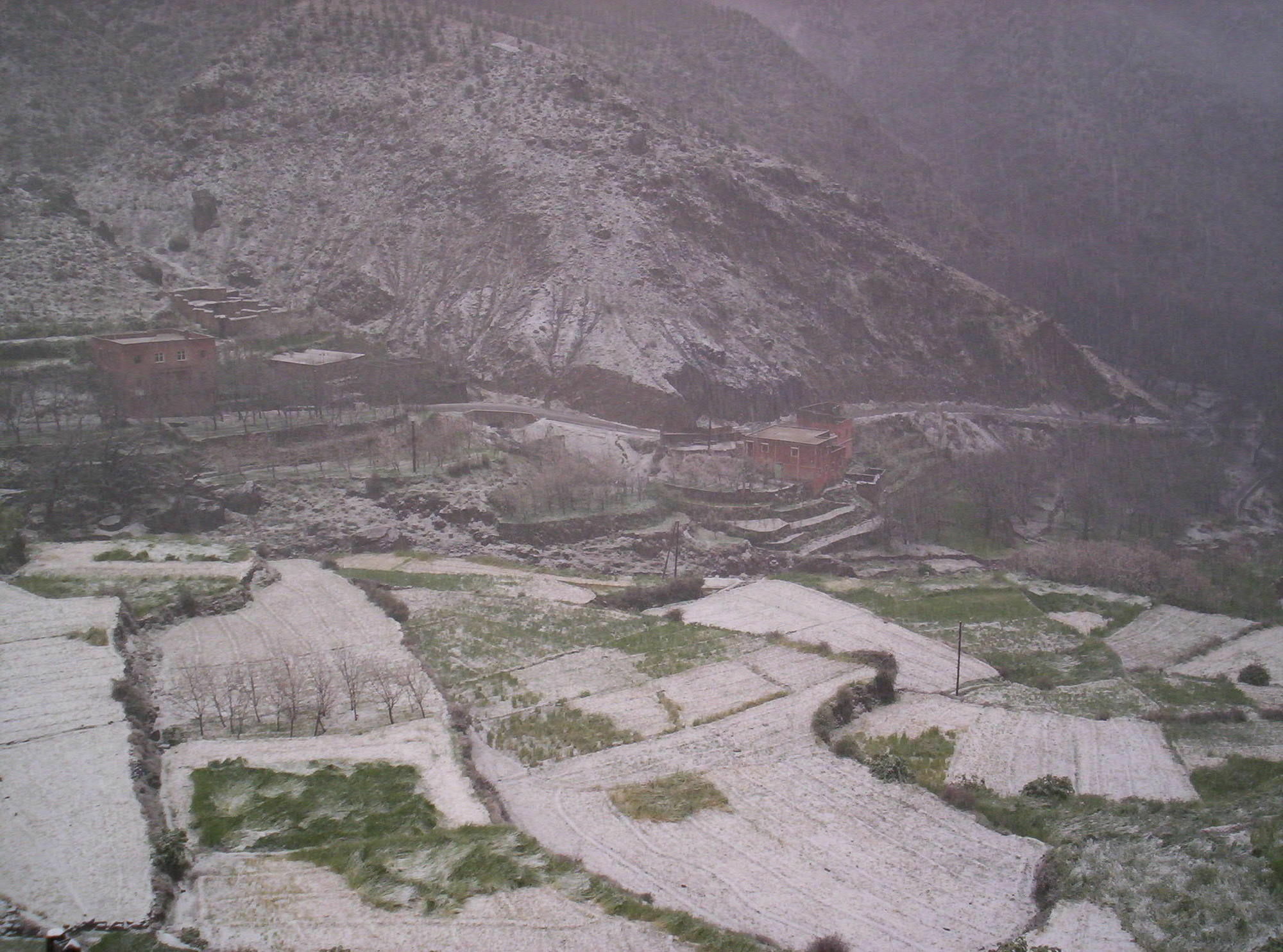 Tamatert Guest House Imlil  Dış mekan fotoğraf